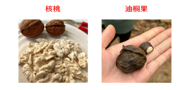 微信图片_20250324101922.png