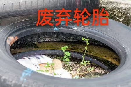 图片31.png