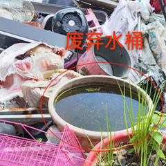 图片30.png
