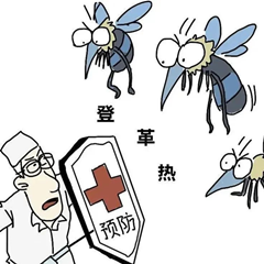 图片33.png