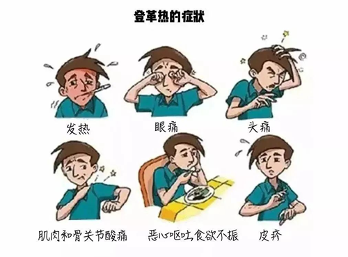 图片34.png