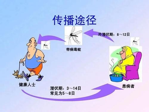 图片37.png